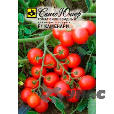Семена Томат Каменари Семко