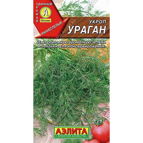 Укроп Ураган Аэлита Ц