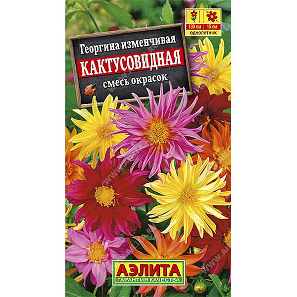 Георгин Кактусовидная смесь Аэлита Ц 