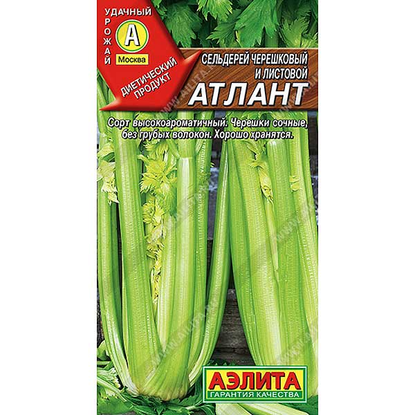 Сельдерей черешковый Атлант Аэлита Ц x10