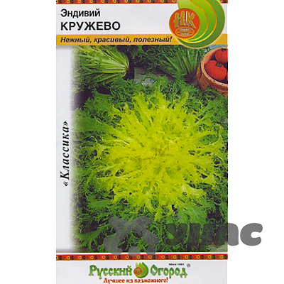 Салат Эндивий Кружево НК Ц