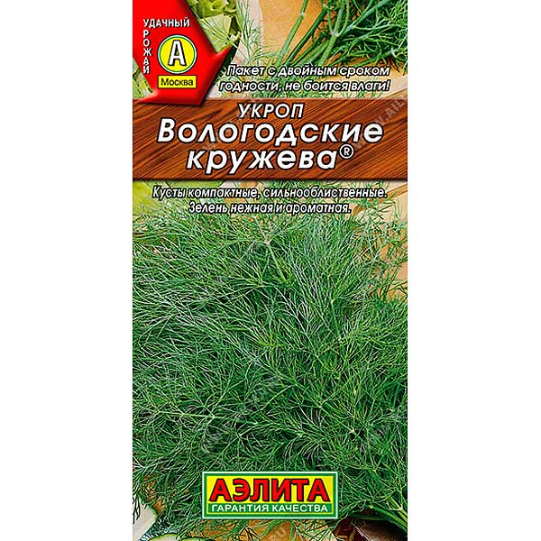 Укроп Вологодские кружева Аэлита Ц