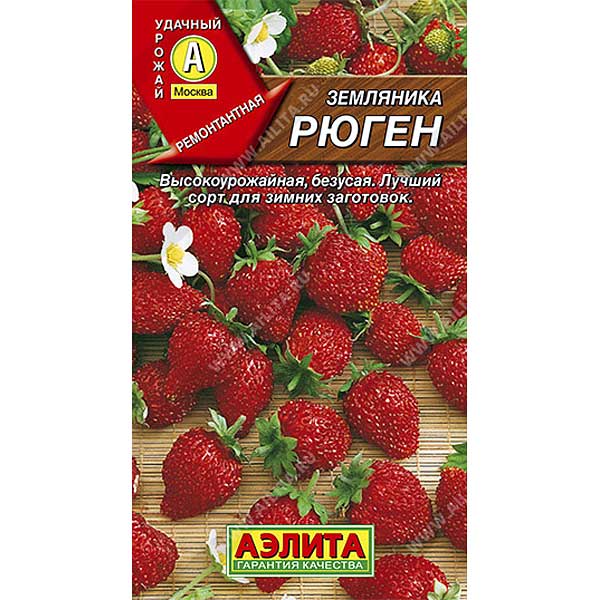 Земляника Рюген Аэлита Ц