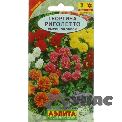 Георгин Риголетто смесь  Аэлита Ц 