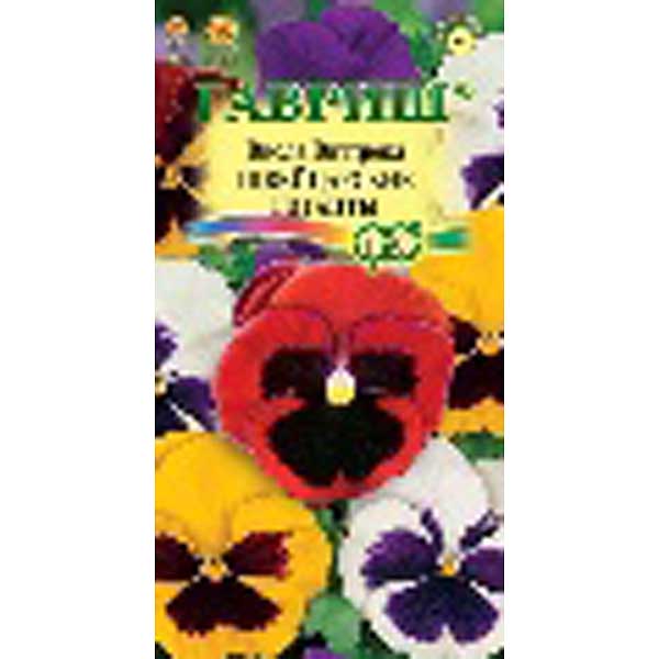 Виола Виттрока Швейцарские гиганты Гавриш Ц 