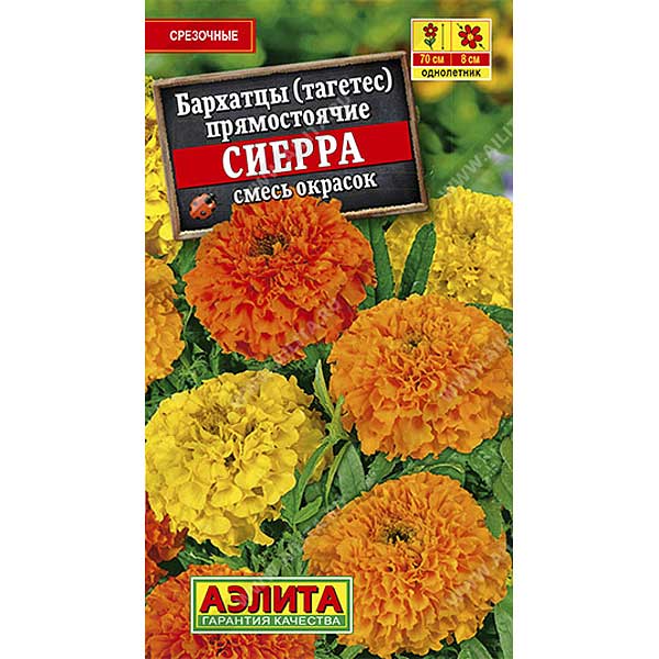 Бархатцы Сиерра прямостоячие смесь Аэлита Ц 