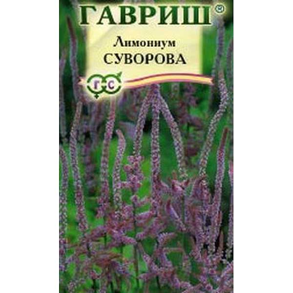 Лимониум Суворова розовый Гавриш Ц 