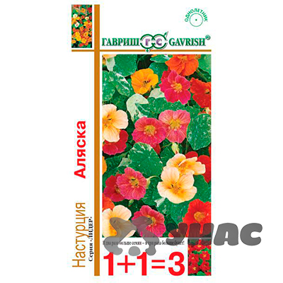 Настурция Аляска 1+1 Гавриш Ц 