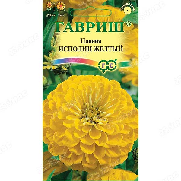Циния Исполин желтый Гавриш Ц 
