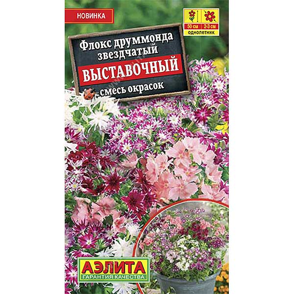 Флокс Выставочный смесь Аэлита Ц 