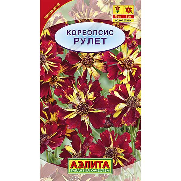 Кореопсис  Рулет Аэлита Ц 