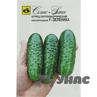Огурец Зеленика Семко Ц