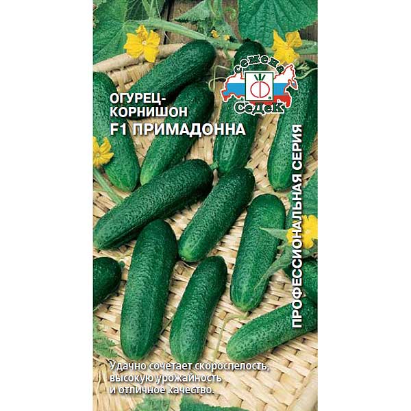 Огурец Примадонна Седек Ц