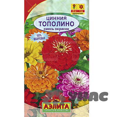 Циния Тополино Аэлита Ц х10 