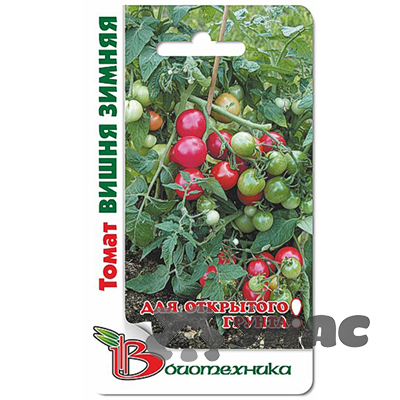 Семена Томат Вишня зимняя Биотехника