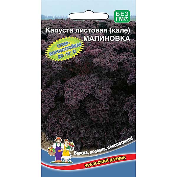 Капуста листовая Малиновка Марс Цх10