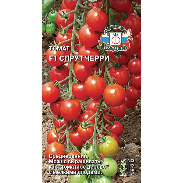 Семена Томат Спрут черри Седек