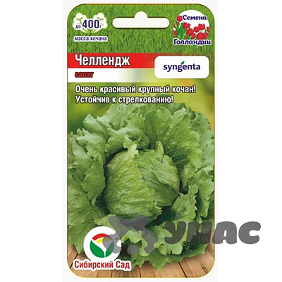 Салат Челлендж СибСад Ц