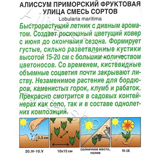 Алиссум Фруктовая улица Аэлита Ц 