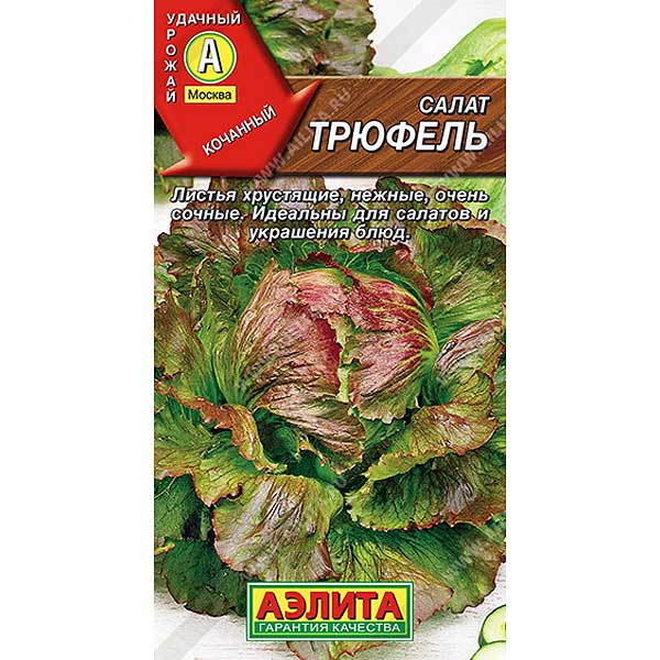 Салат Трюфель кочан Аэлита Ц