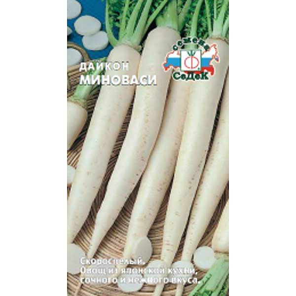 Дайкон Миноваси Седек Ц