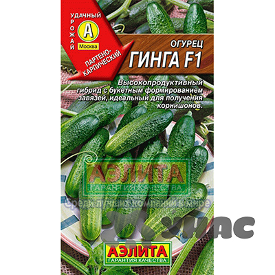 Огурец Гинга Аэлита Ц
