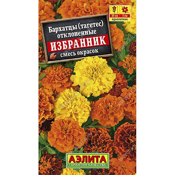 Бархатцы Избранник Аэлита Ц 