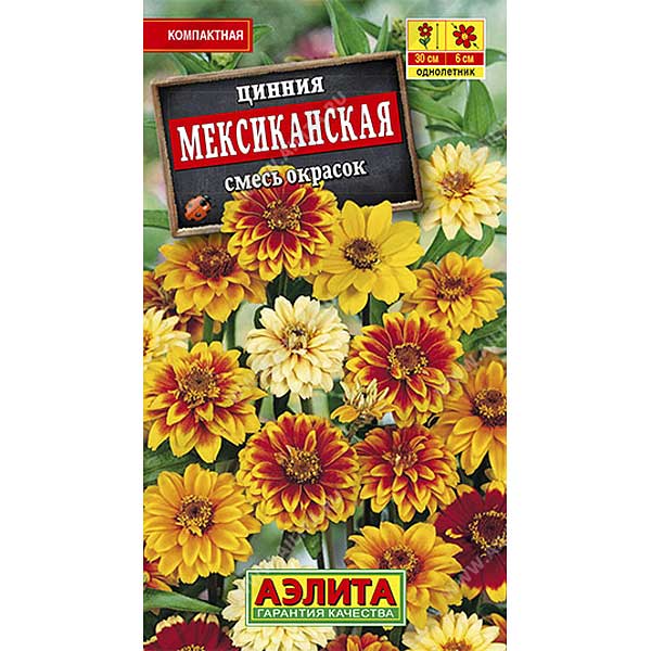 Циния Мексиканская Аэлита Ц х10 