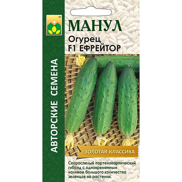 Огурец Ефрейтор Манул Ц
