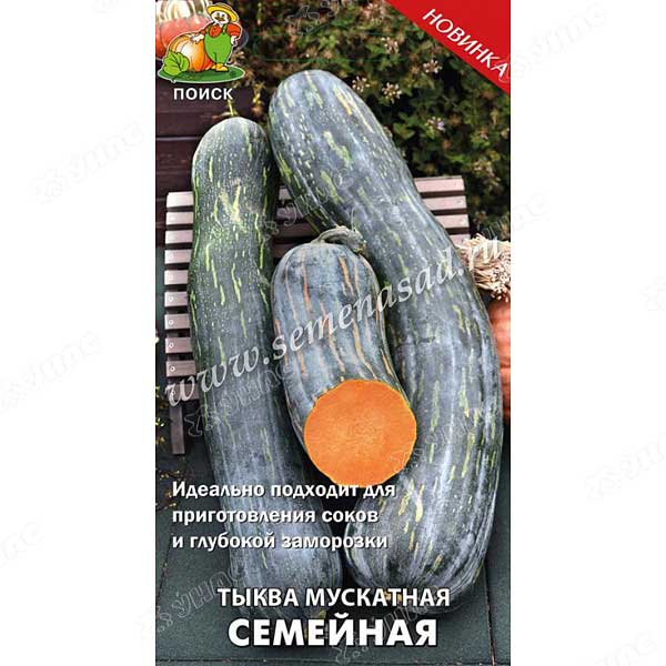 Тыква Семейная Поиск Ц