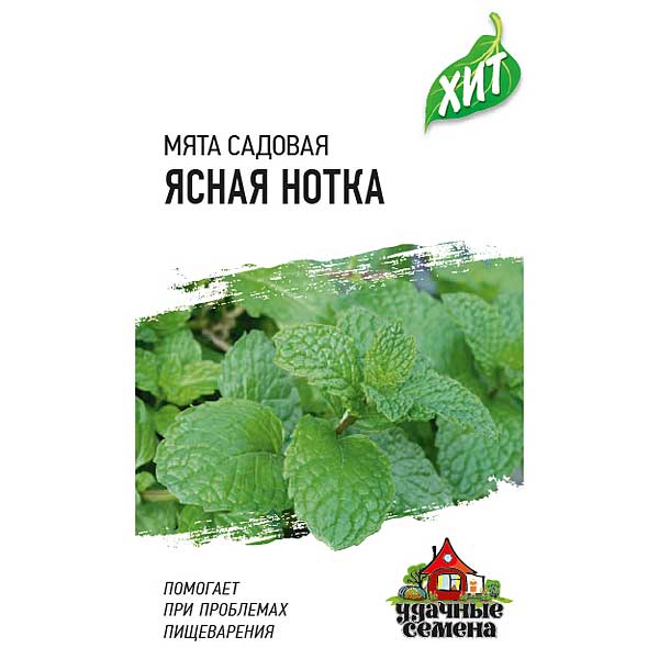 Мята садовая Ясная нотка (метал) Гавриш Ц