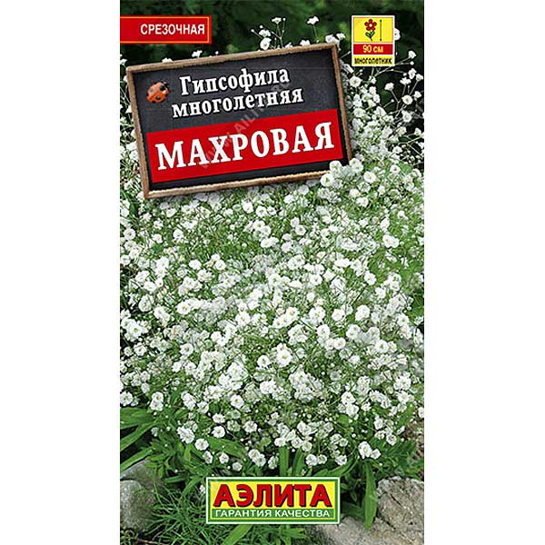 Гипсофила махр.многол. Аэлита Ц 