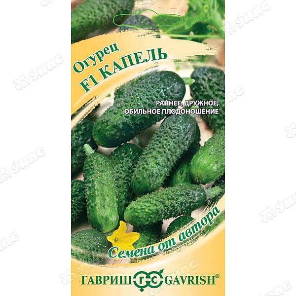 Огурец Каапель Гавриш Ц
