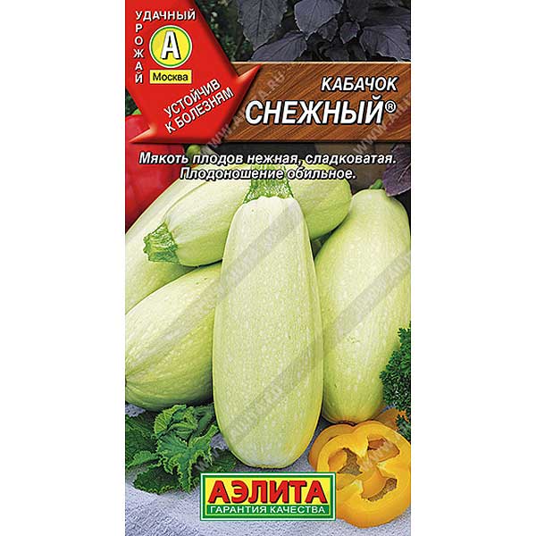 Кабачок Снежный Аэлита Ц