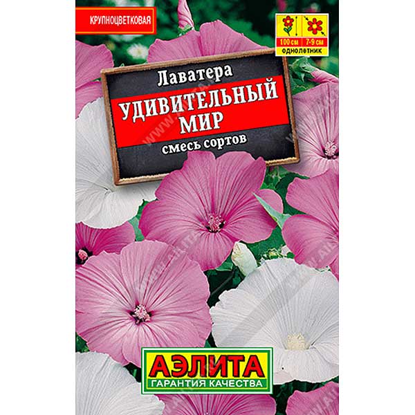 Лаватера Удивительный мир "Лидер" Аэлита Ц 