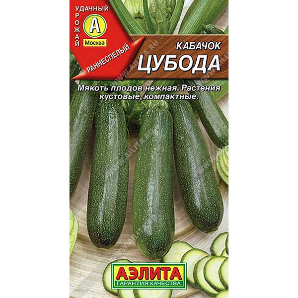 Кабачок Цубода Аэлита Ц
