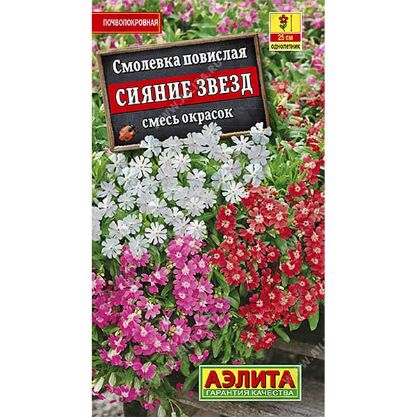 Смолевка Сияние звезд Аэлита Ц 