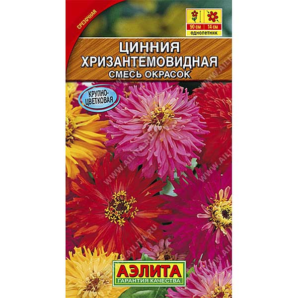 Циния Хризантемовидная Аэлита Цх10 