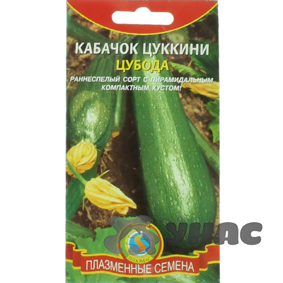 Кабачок Цубода цуккини Плазма Ц