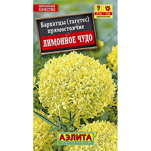 Бархатцы Лимонное чудо Аэлита Ц 