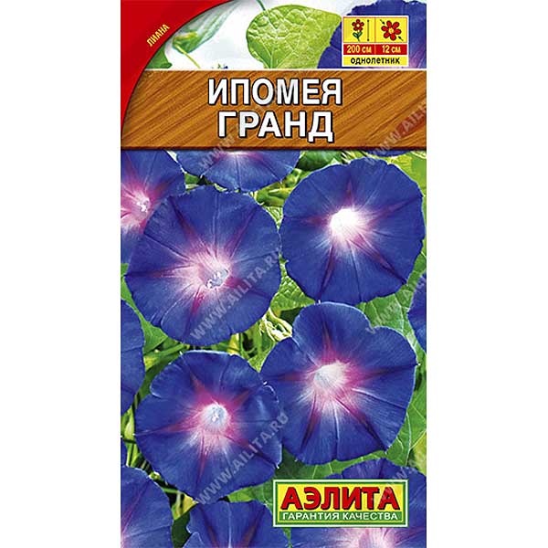 Ипомея Гранд Аэлита Ц 