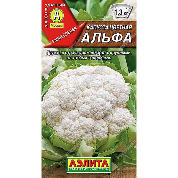 Капуста цв. Альфа Аэлита Ц