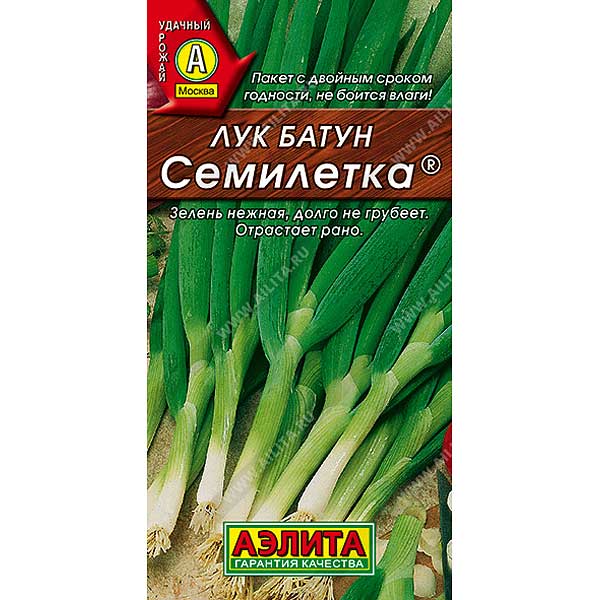 Лук батун Семилетка Аэлита Ц