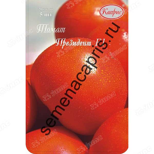 Семена Томат Президент 100 шт (Нидерланды) Каприс