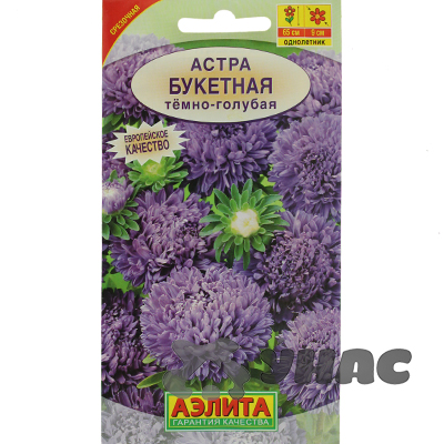 Астра Букетная темно-голубая Аэлита Ц 