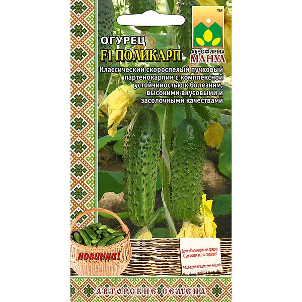 Огурец Поликарп Манул Ц