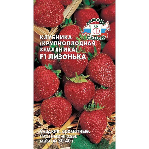 Земляника Лизонька Седек Ц