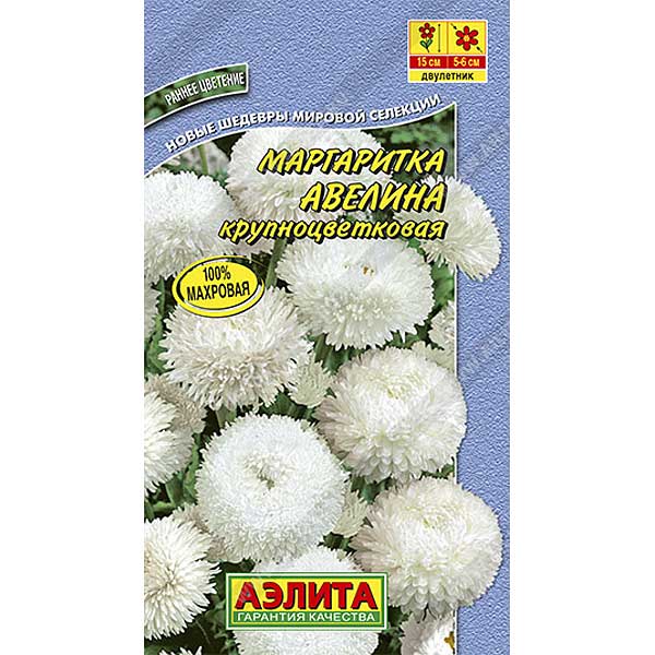 Маргаритка Авелина Аэлита Ц 