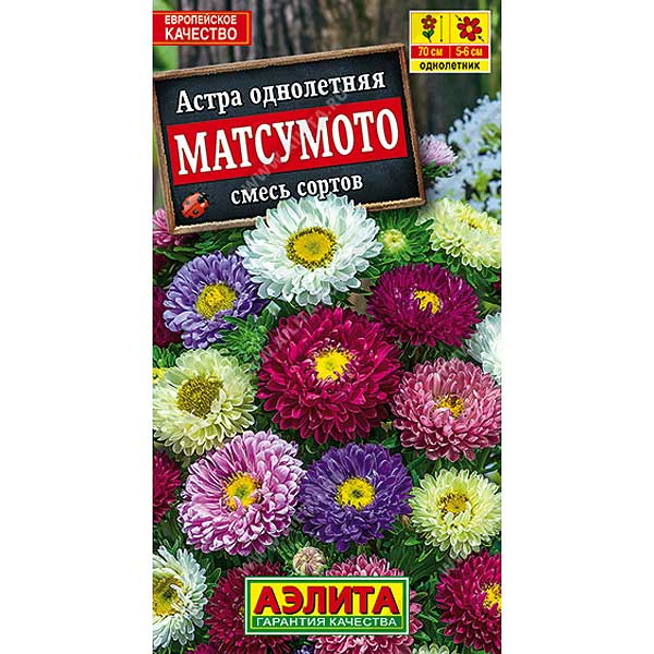Астра Матсумото смесь Аэлита Ц 