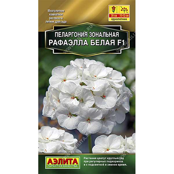 КОМ Пеларгония Рафаэлла белая Аэлита Ц 